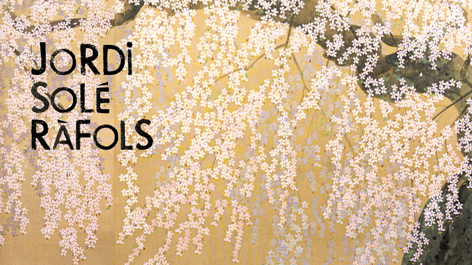 Imatge representativa del video